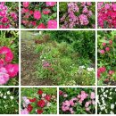 옥수농장 이미지