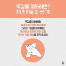 연세송내과 네이버블로그