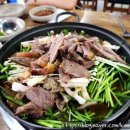 푸른한방흑염소전문식당