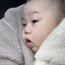 다온냥 | 코끼리 콧물흡입기 사용 후기 아기 코빼는기계 구비해두면 좋아요