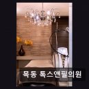 목동톡스앤필의원 네이버블로그