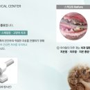 옥길아라동물의료센터 이미지