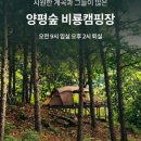 양평숲비룡캠프장