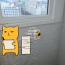 무지개전기조명 이미지