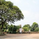 신비민박 이미지