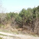 포항시북구76 이미지