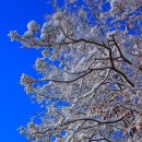 알프스비디오 이미지