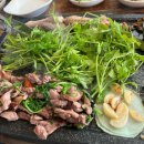 띵호야양꼬치 - 충주시 첨단쉼터6길 26 | 띵호야양꼬치