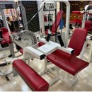 파워짐 휘트니스 이미지