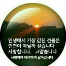 행복하자 Daum카페