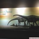 해남공룡박물관 이미지