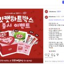 샛별플라워 | [디지털 마케팅 캠프 19일차] 뷰티컬리 세그멘테이션&amp; SNS 아티클