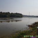 만수제 이미지