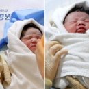 짱짱이네 이미지