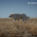 꿈터장애인주간보호센터 네이버블로그