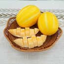 성주 카카오 검색결과