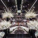 티파니웨딩 청솔밭뷔페 이미지