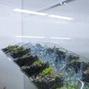 태백수족관 이미지