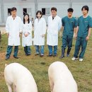 새롬축산 이미지