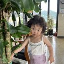 구곡산방 이미지