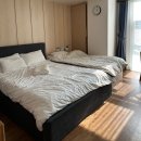 소로1-죽1호선 | 세종 드이자르 산후조리원 1호점 2주 이용후기(내돈내산) 솔직 장단점 비교