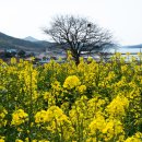 서해사랑 이미지