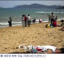부경대학교 나비센터 노컷뉴스