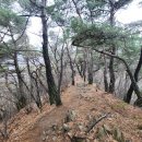 하늘재길 이미지