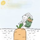 러너스토끼 네이버블로그