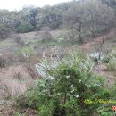 이시돌쉼터 이미지