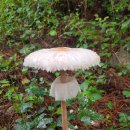 덕치우체국 이미지