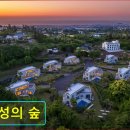 애월제주포레 | 제주도 애월 팬션추천 신성의 숲 제주 애월 신성의 숲, 웰니스 공간
