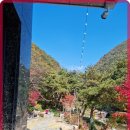 해바라기 풀빌라 네이버블로그