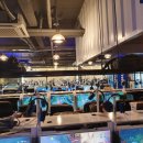 아프리카PC방 | 대전 아프리카 PC방 방문 후기