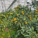 민성이네 농장 이미지