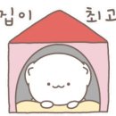 김미경 동물병원 이미지