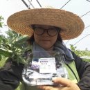 유촌농장 이미지