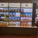 도그인 그레이 이미지