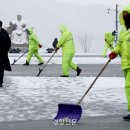 강서구-36 이미지