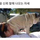 올가드림뷰티 이미지