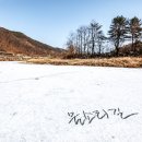 용문시장 체험코스 이미지