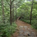 가리산자연휴양림 이미지