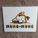 멍바이멍 반려견 유치원 이미지