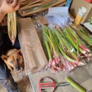 선분농장 이미지