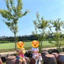 더편한여행사