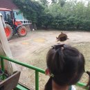 채운목장 이미지