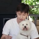 사르르