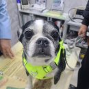 뉴월드 동물병원 이미지