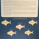 동울산정비2공장 | 울산박물관 &#39;라이징 포트&#39; 운영시간&amp;후기