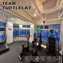 팀터틀랫 상인점 이미지